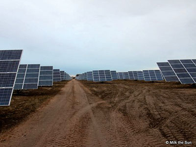 Solar-Park mit Nachführsystem Milk the Sun